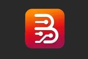 Borneo Schematics Single User Activation code - 1 year